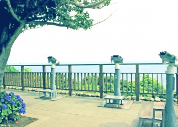 展望,町,屋外,夏,曇り,昭和レトロ