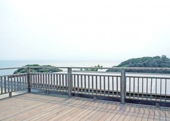 展望,町,屋外,夏,曇り