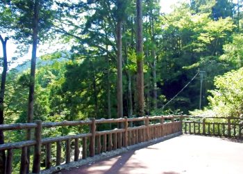 展望,アウトドア,屋外,夏,晴れ