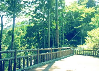 展望,アウトドア,屋外,夏,晴れ,昭和レトロ