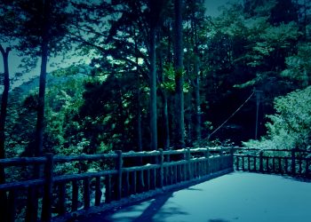 展望,アウトドア,屋外,夏,晴れ,ホラー