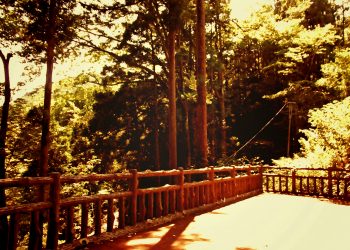 展望,アウトドア,屋外,夏,晴れ,ヴィンテージ