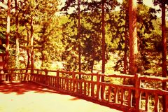 展望,アウトドア,屋外,夏,晴れ
