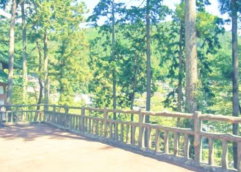 展望,アウトドア,屋外,夏,晴れ,昭和レトロ
