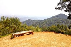 山道,アウトドア, 屋外, 曇り, 夏