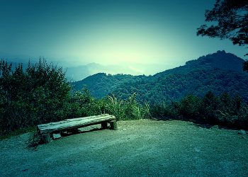山道, アウトドア, ホラー, 屋外, 曇り, 夏
