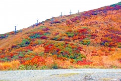 山道,アウトドア,秋,屋外,晴れ