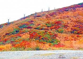 山道,アウトドア,秋,屋外,晴れ