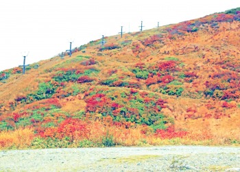 山道,アウトドア,秋,屋外,晴れ,昭和レトロ