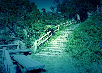 林道,アウトドア,屋外,夏,晴れ,ホラー