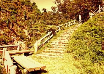 林道,アウトドア,屋外,夏,晴れ,ヴィンテージ