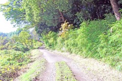 山道,アウトドア,屋外,夏,晴れ