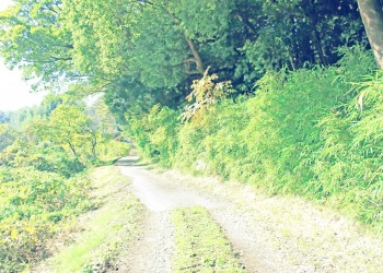 山道,アウトドア,屋外,夏,晴れ,昭和レトロ