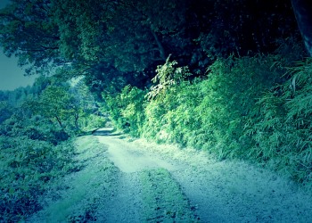 山道,アウトドア,屋外,夏,晴れ,ホラー