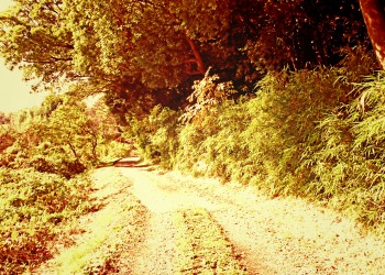 山道,アウトドア,屋外,夏,晴れ,ヴィンテージ