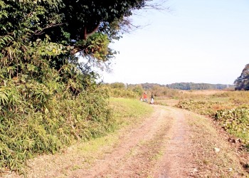 林道,アウトドア,屋外,秋,晴れ,