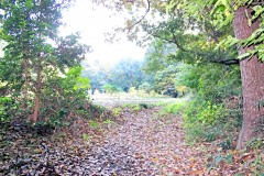 林道,アウトドア,冬,屋外,晴れ