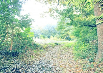 林道,アウトドア,冬,屋外,晴れ,昭和レトロ