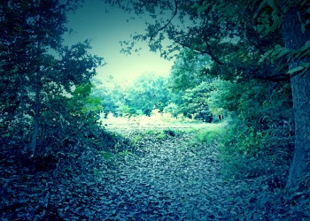 林道,アウトドア,冬,屋外,晴れ,ホラー