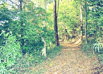 林道,アウトドア,冬,屋外,晴れ,昭和レトロ