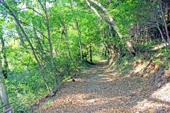 林道,アウトドア,冬,屋外,晴れ