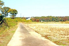 林道,アウトドア,晴れ,屋外,秋