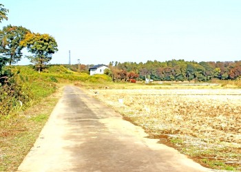 林道,アウトドア,晴れ,屋外,秋