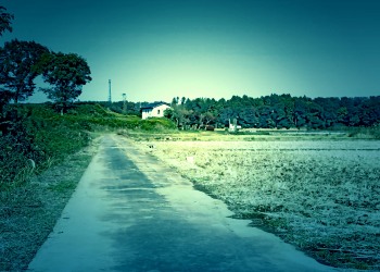 林道,アウトドア,晴れ,屋外,秋,ホラー