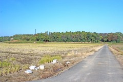 林道,村,晴れ,屋外,秋