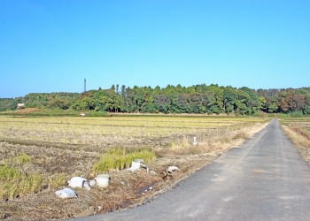 林道,村,晴れ,屋外,秋
