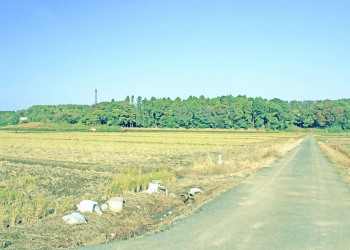 林道,村,晴れ,屋外,秋,昭和レトロ