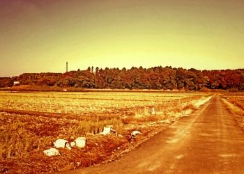 林道,村,晴れ,屋外,秋,ヴィンテージ