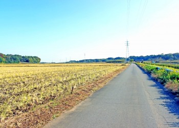 林道,村,晴れ,屋外,秋