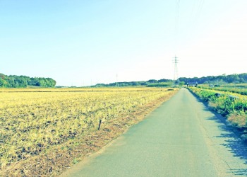 林道,村,晴れ,屋外,秋,昭和レトロ