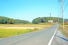 林道,村,晴れ,屋外,秋