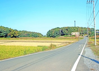 林道,村,晴れ,屋外,秋