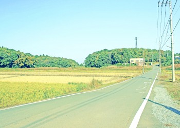 林道,村,晴れ,屋外,秋,昭和レトロ