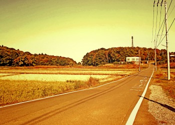 林道,村,晴れ,屋外,秋,ヴィンテージ