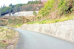 山道,村,屋外,冬,曇り