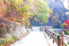 山道,村,屋外,秋,晴れ