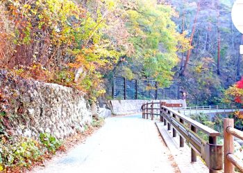 山道,村,屋外,秋,晴れ