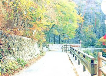 山道,村,屋外,秋,晴れ,昭和レトロ