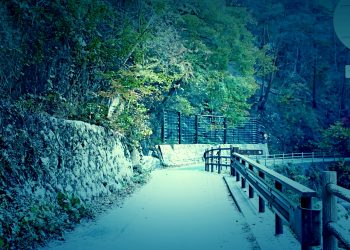 山道,村,屋外,秋,晴れ,ホラー