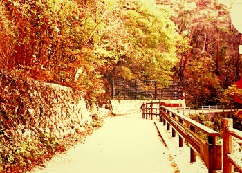 山道,村,屋外,秋,晴れ,ヴィンテージ
