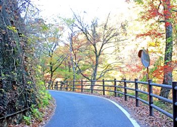 山道,村,屋外,秋,晴れ