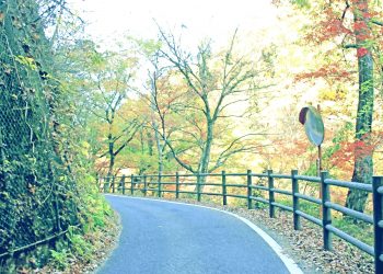 山道,村,屋外,秋,晴れ,昭和レトロ