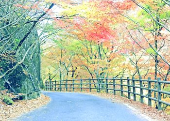 山道,アウトドア,屋外,秋,晴れ,昭和レトロ