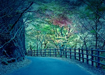 山道,アウトドア,屋外,秋,晴れ,ホラー