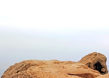 山道,アウトドア,屋外,春,曇り