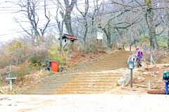 林道,アウトドア,屋外,冬,曇り